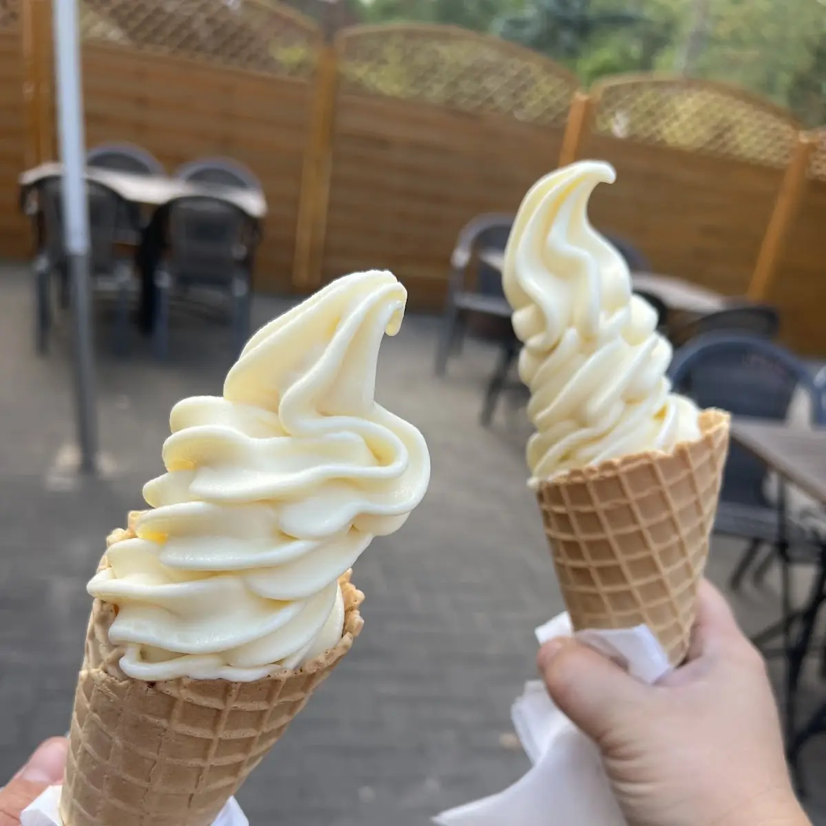 Highlight 5