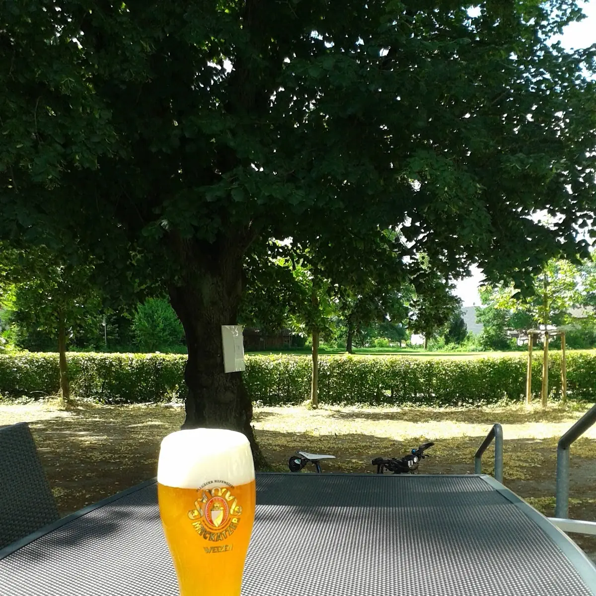 Hefe-weizen