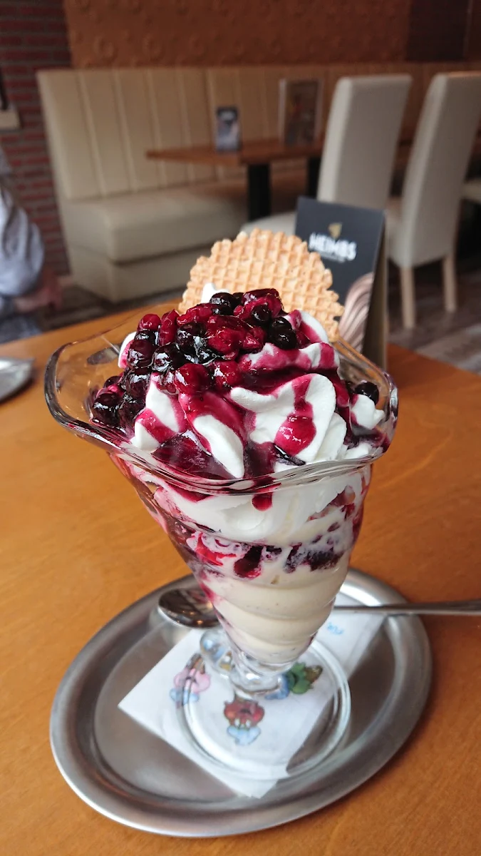 Waldfruchtbecher