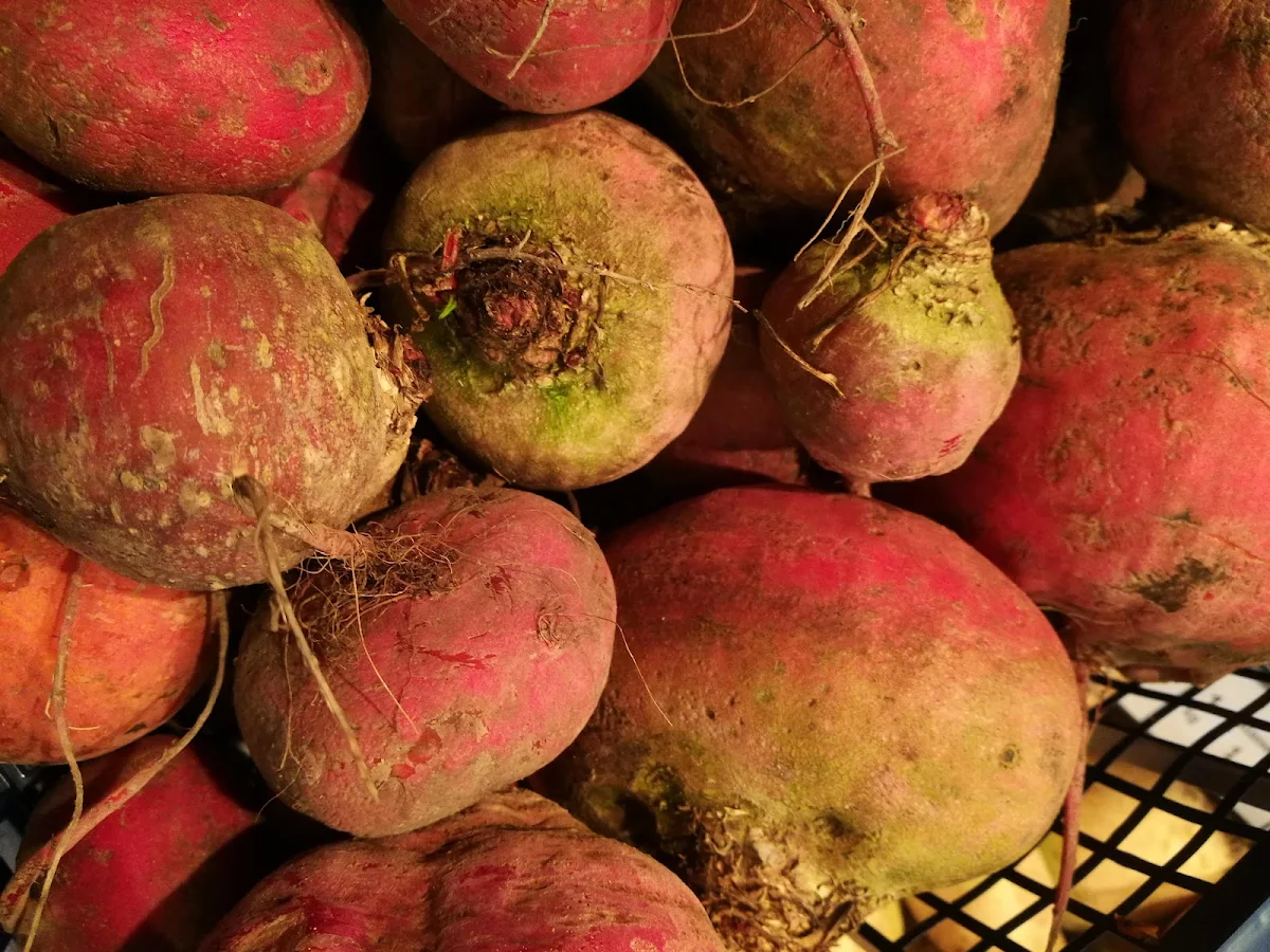 Beetroot