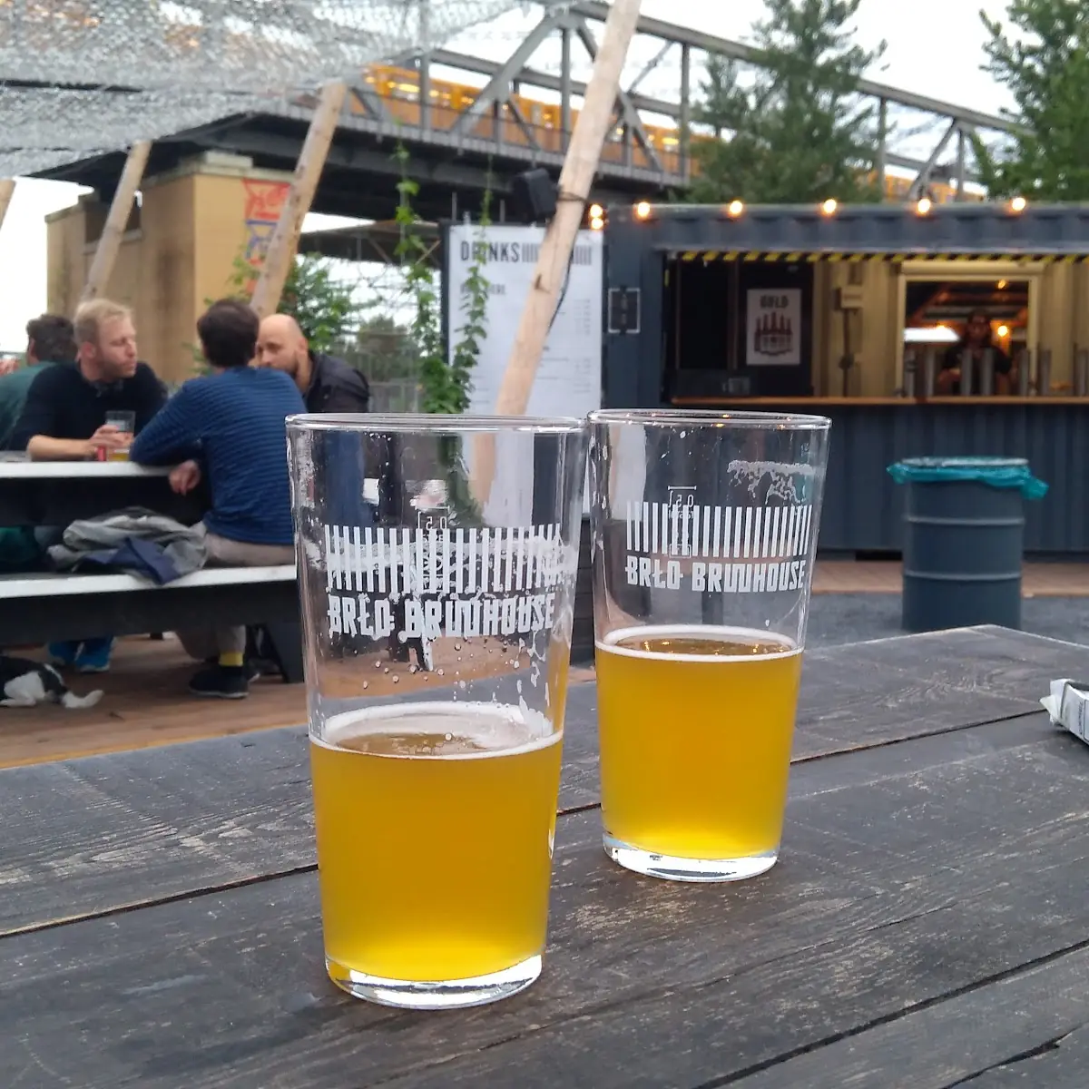 Cider