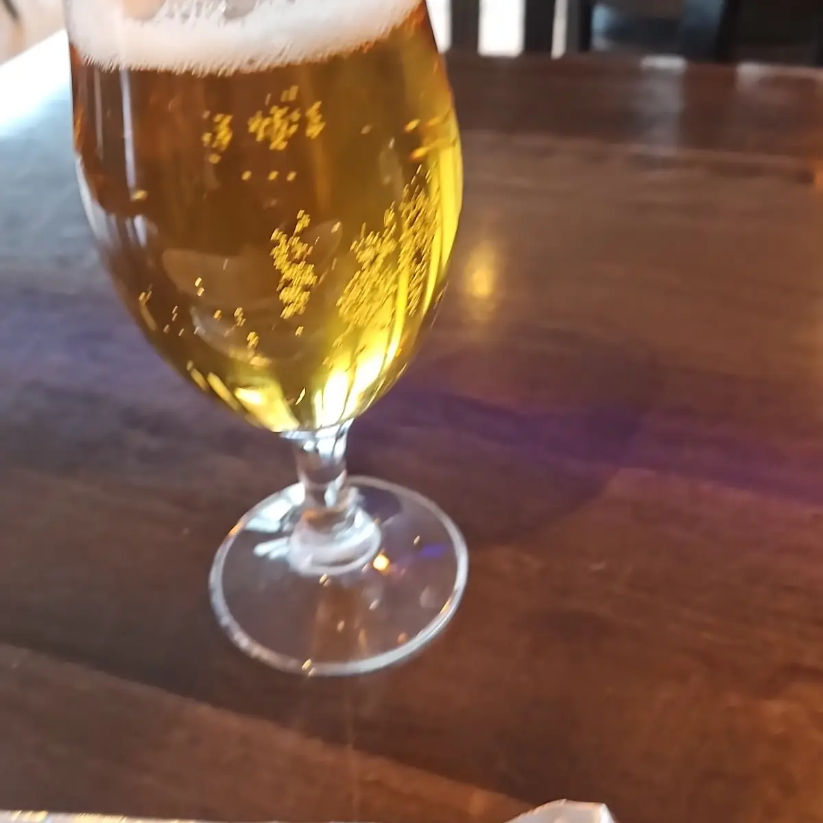Bier