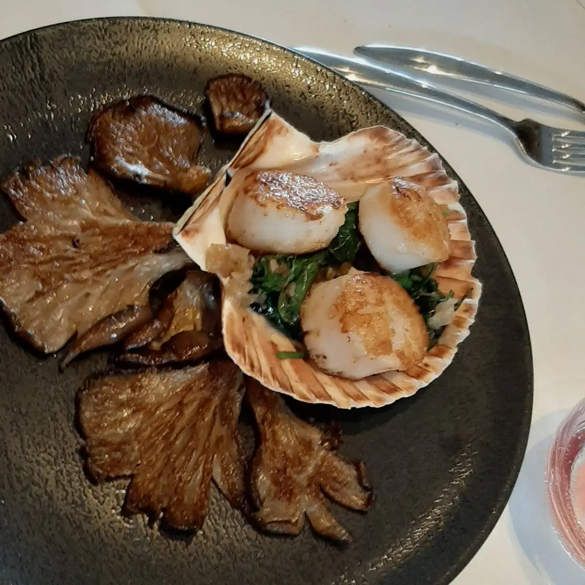 Scallops