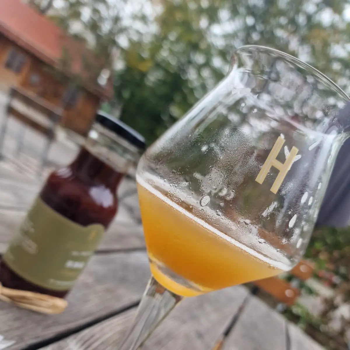 IPA Beer
