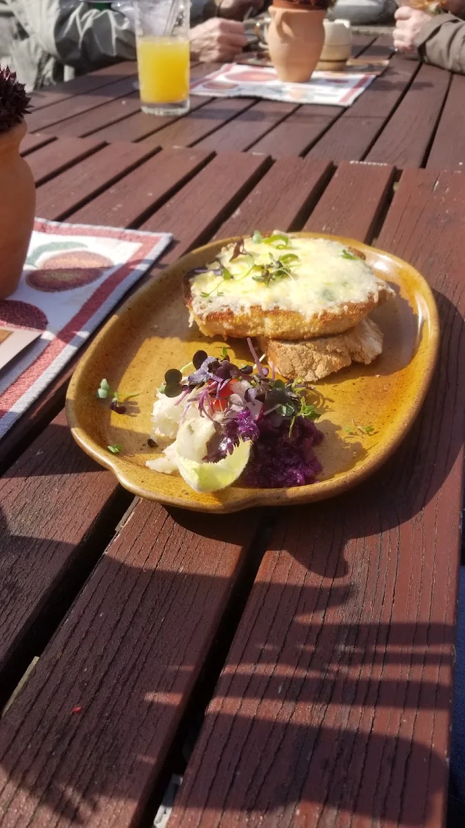Scheunenkruste