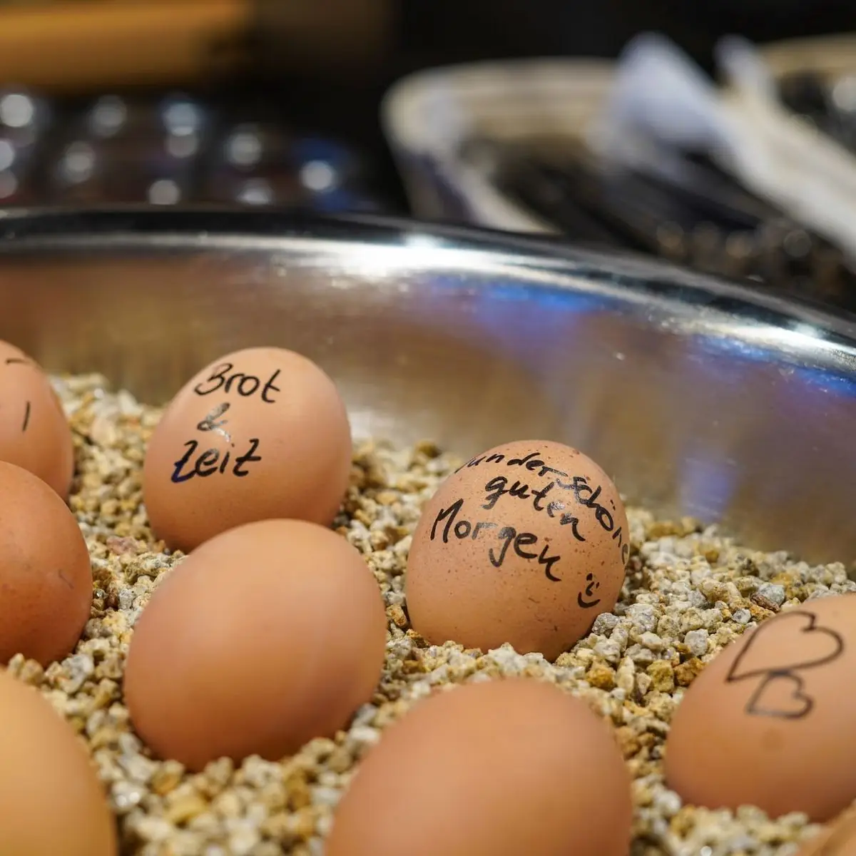 Egg