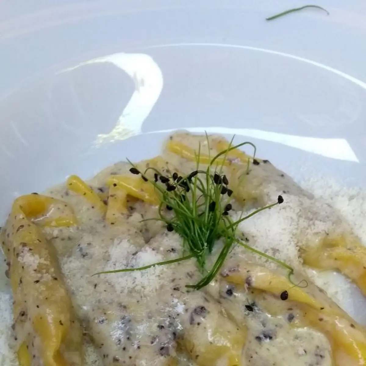 Ravioli