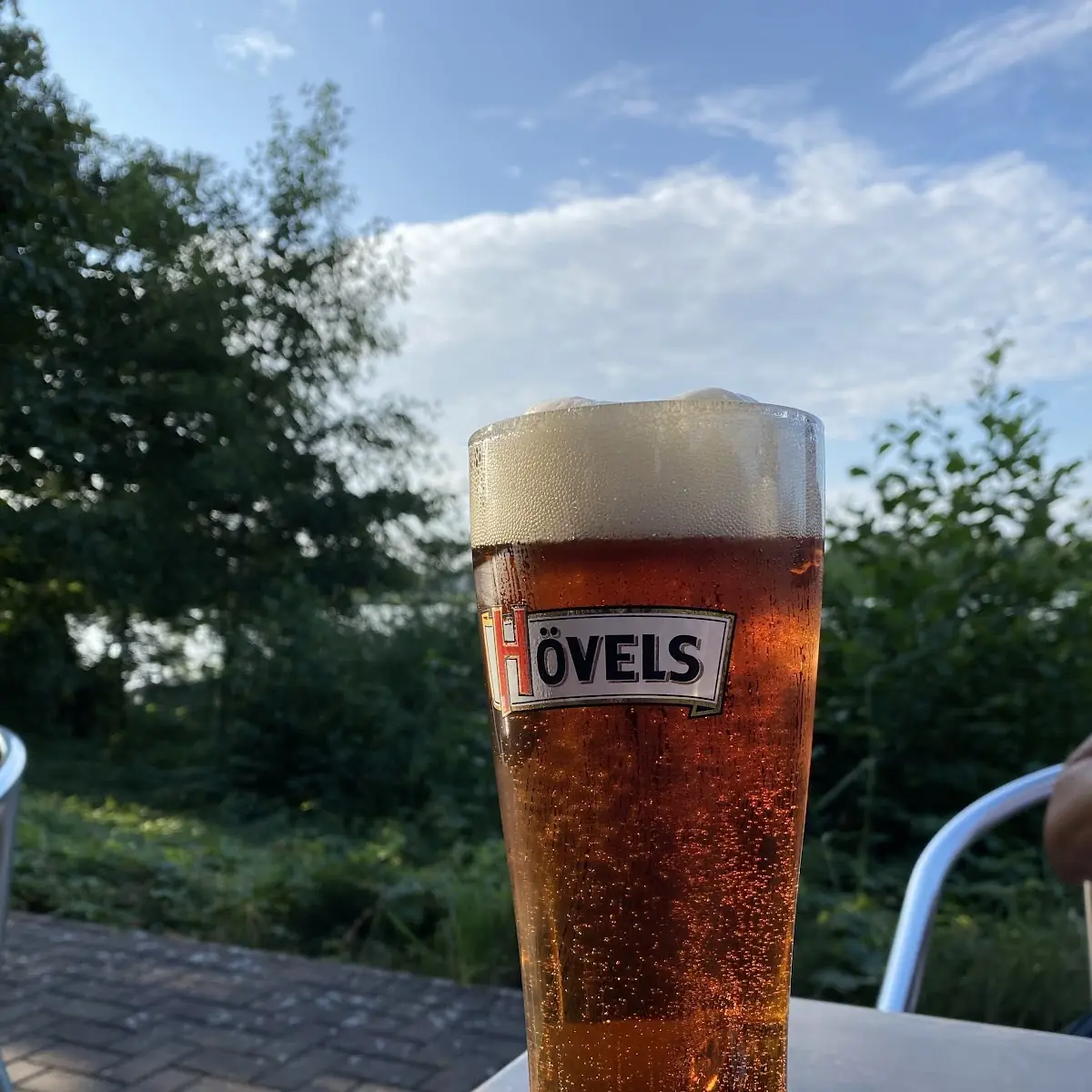 Bier