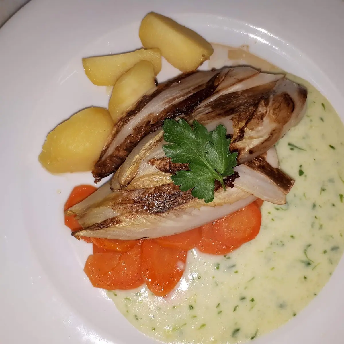 Chicoree Mit Gemüse