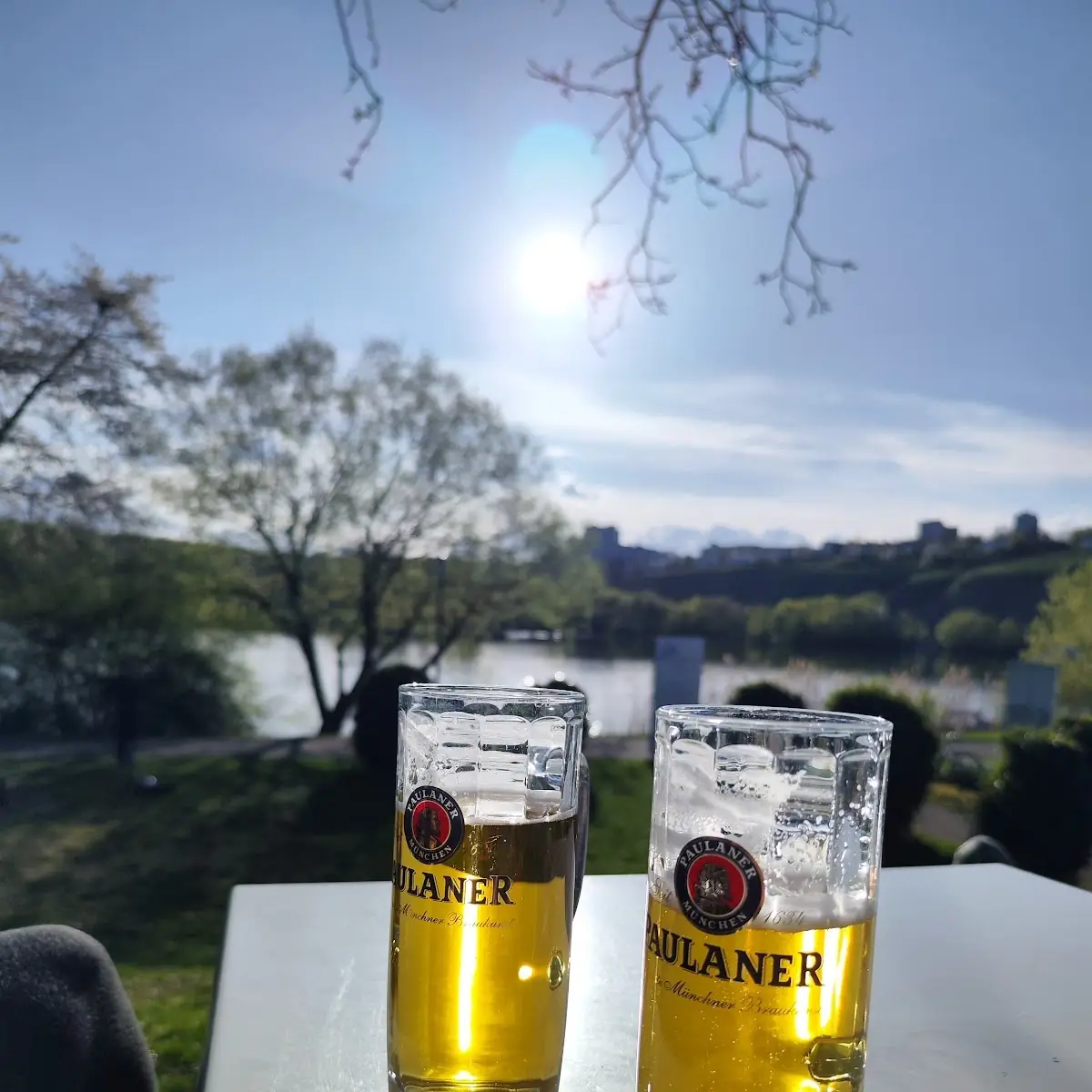 Bier