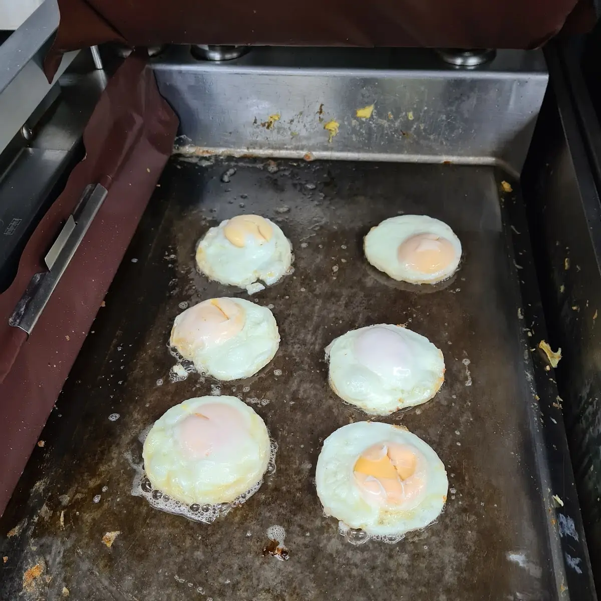 Egg