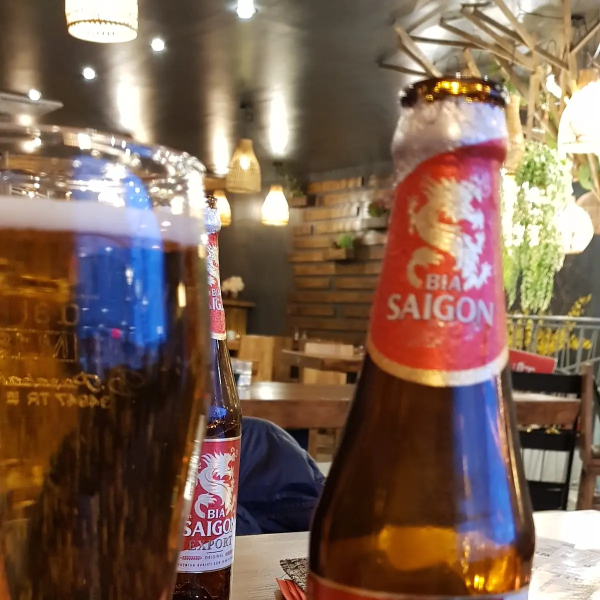 Bier