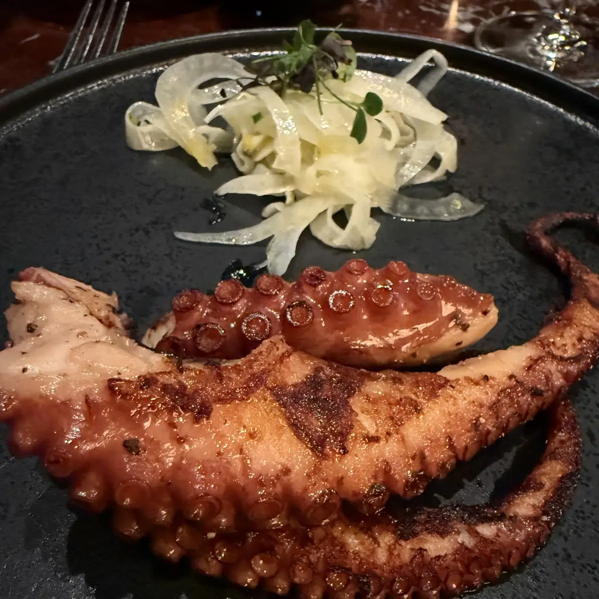 Highlight 20