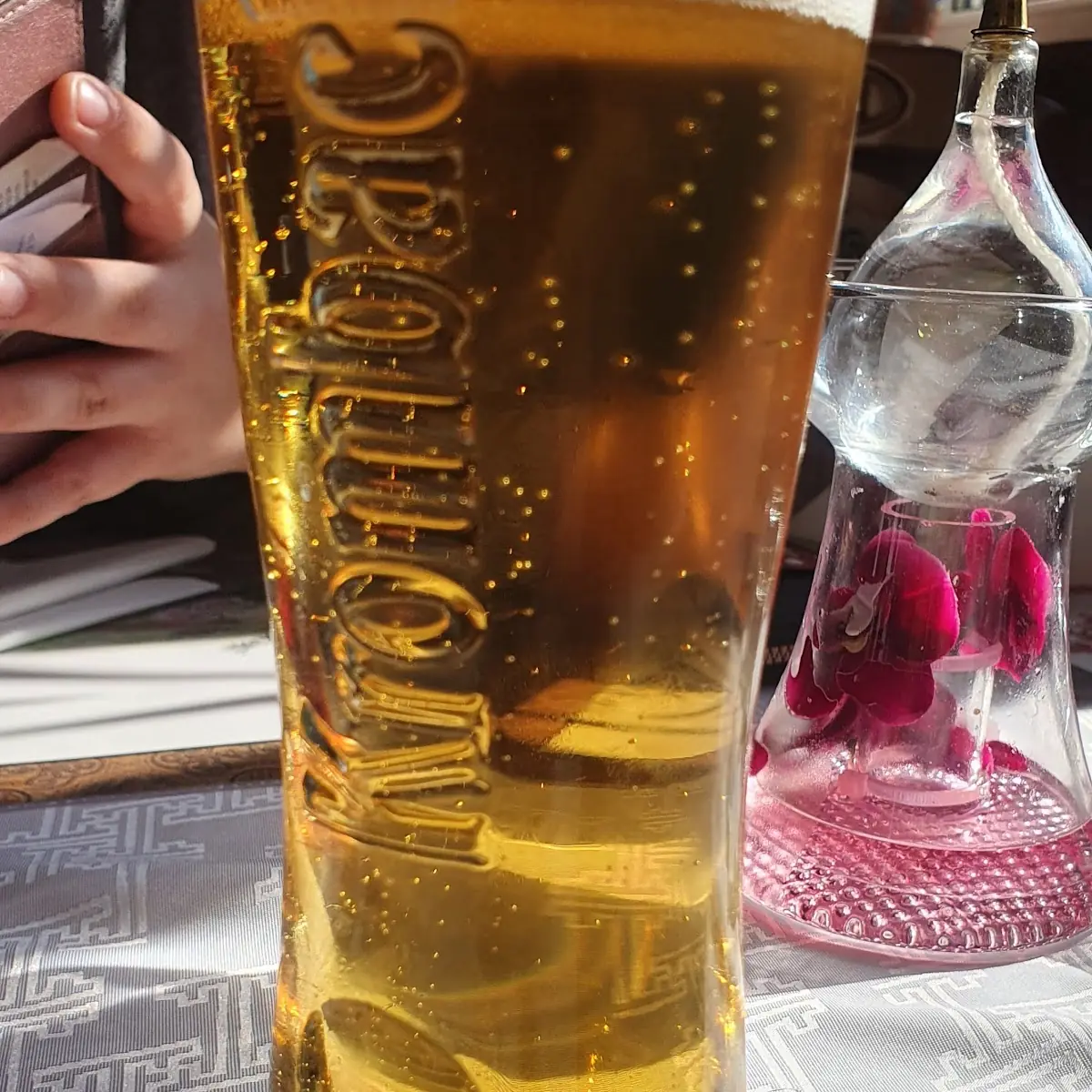 Bier