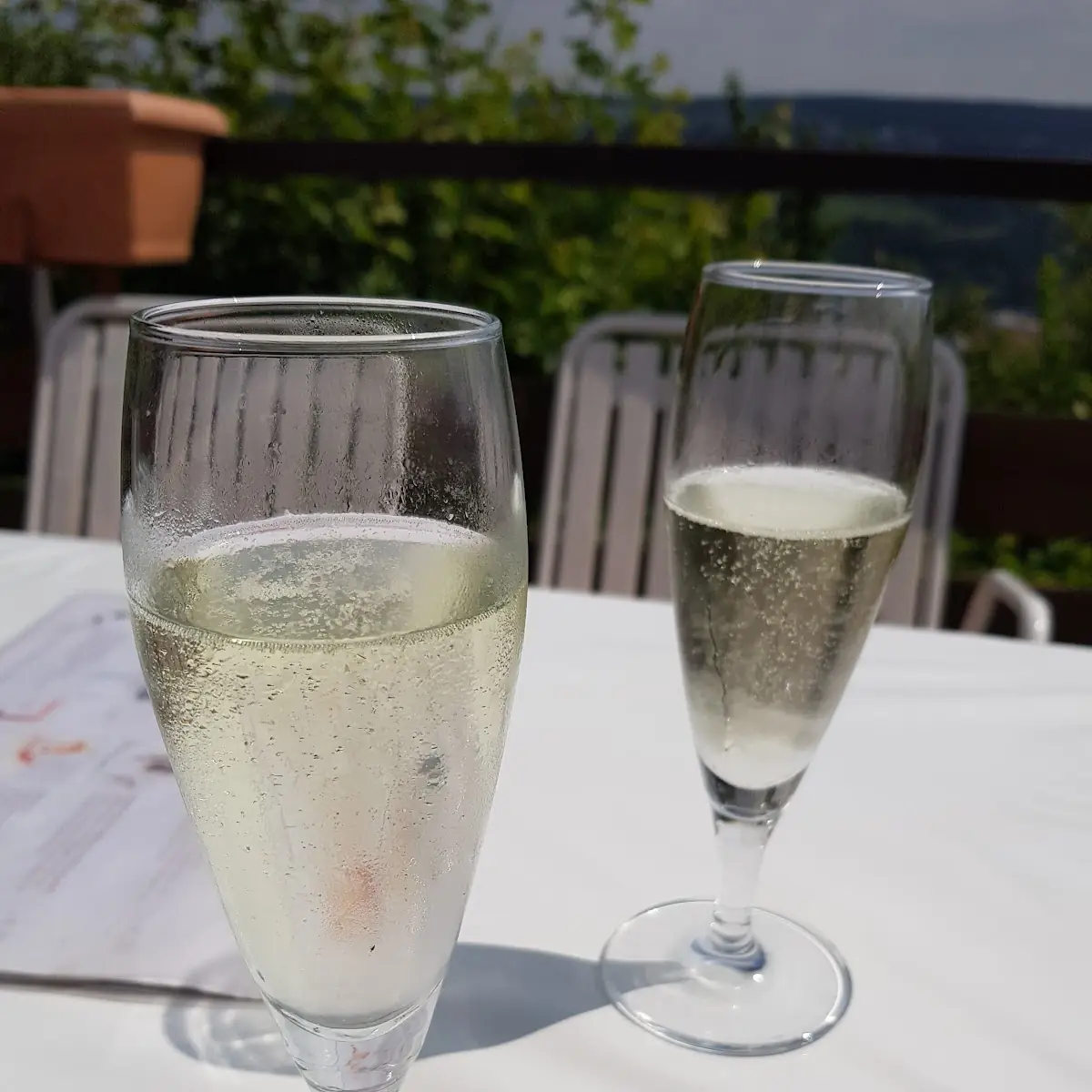 Prosecco