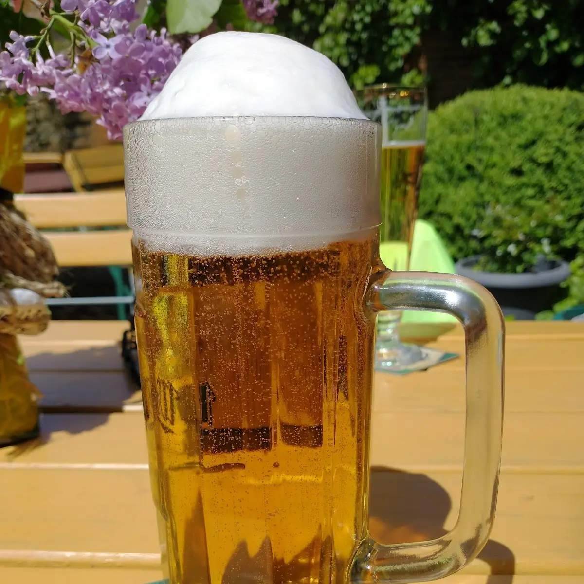 Bier