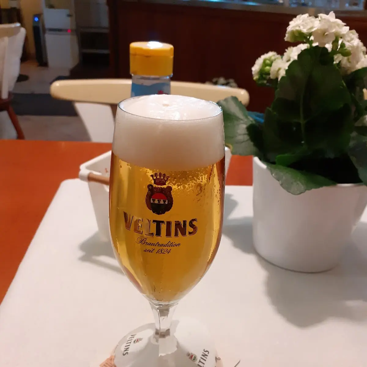 Bier