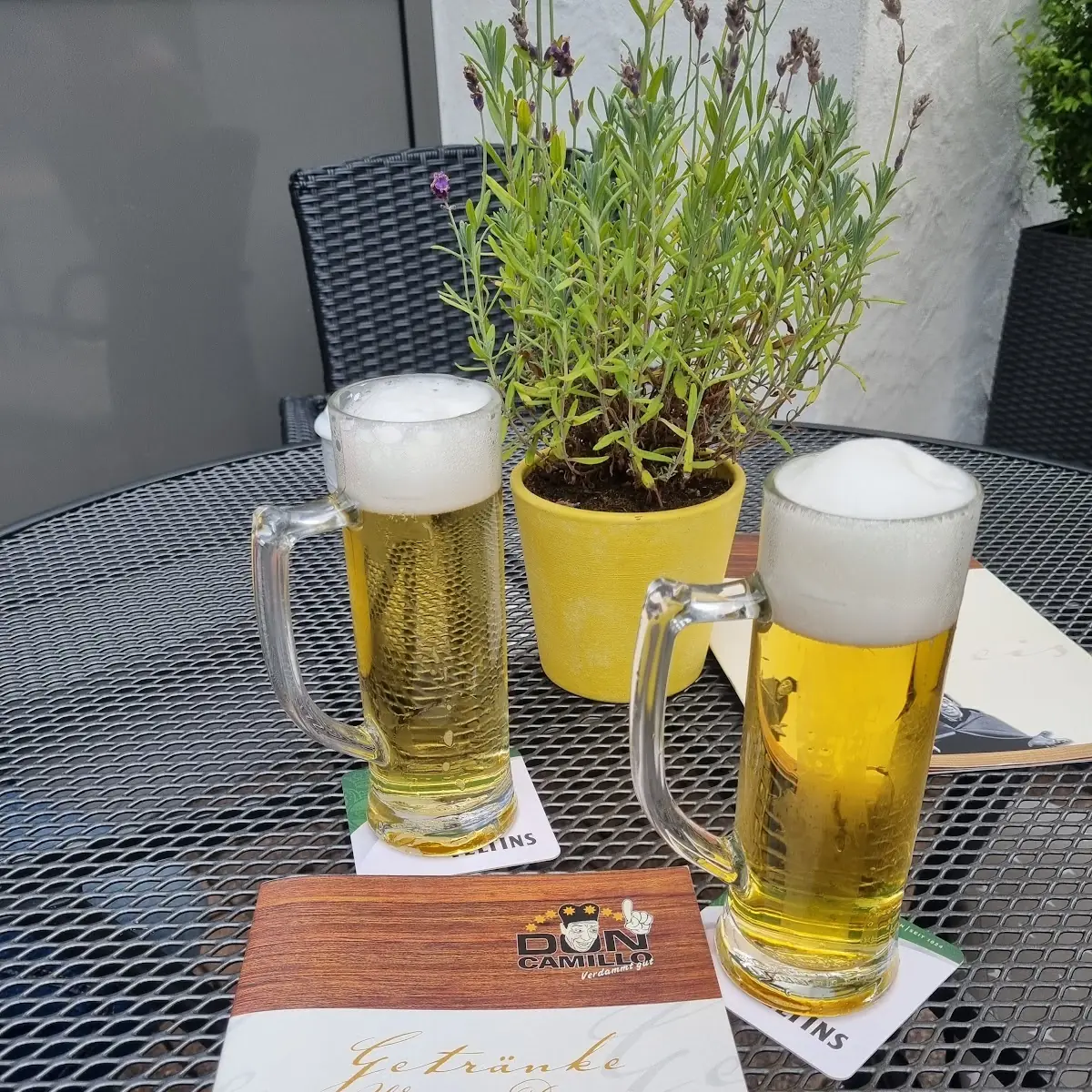 Bier