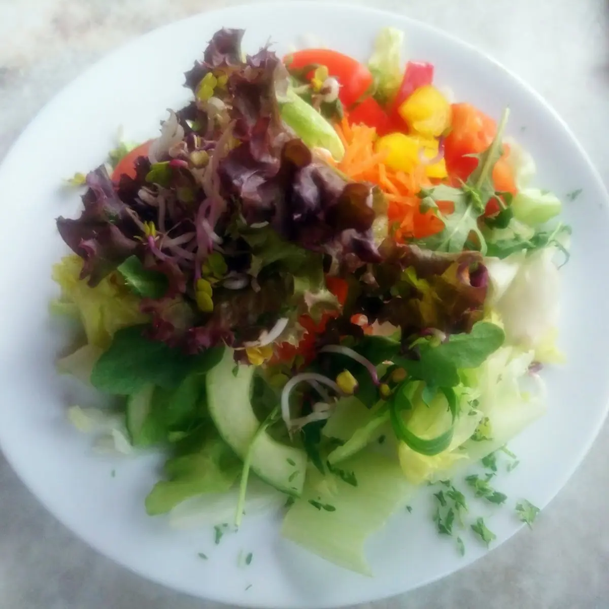 Gemischter Salat Klein, Cameo