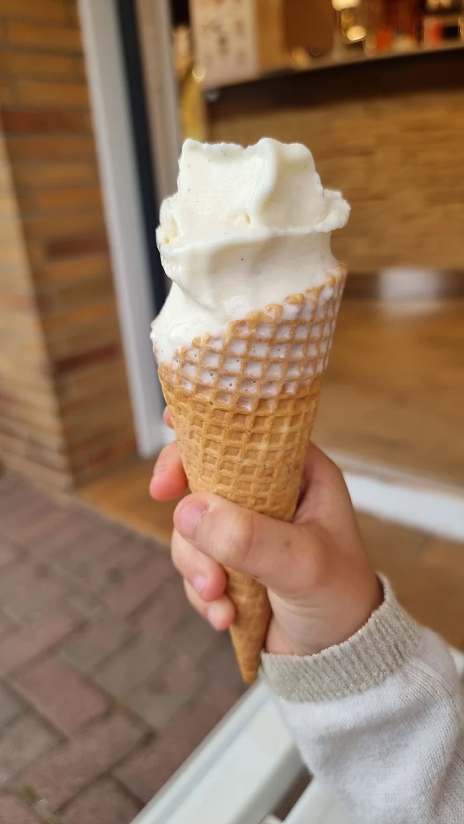 Highlight 8