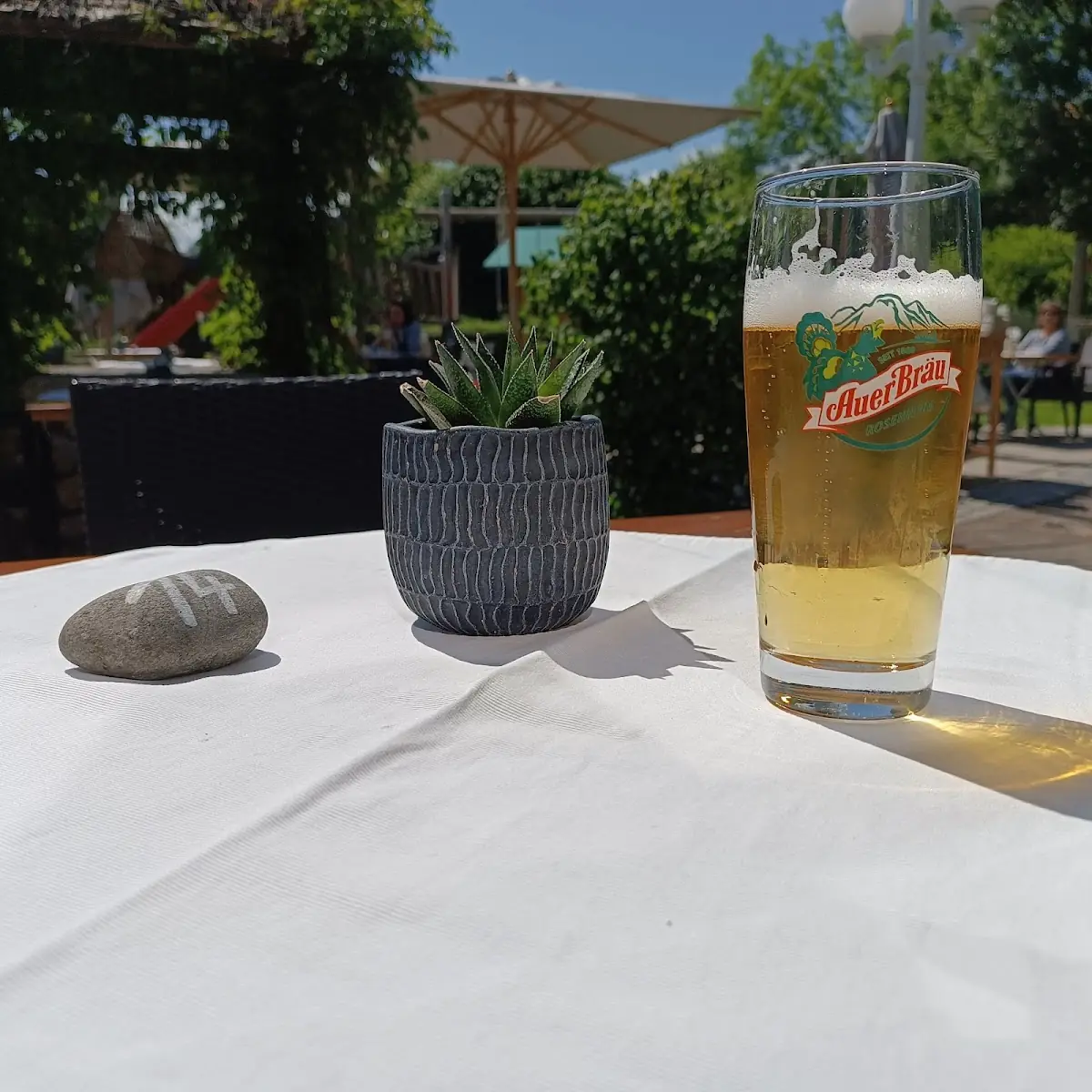 Bier
