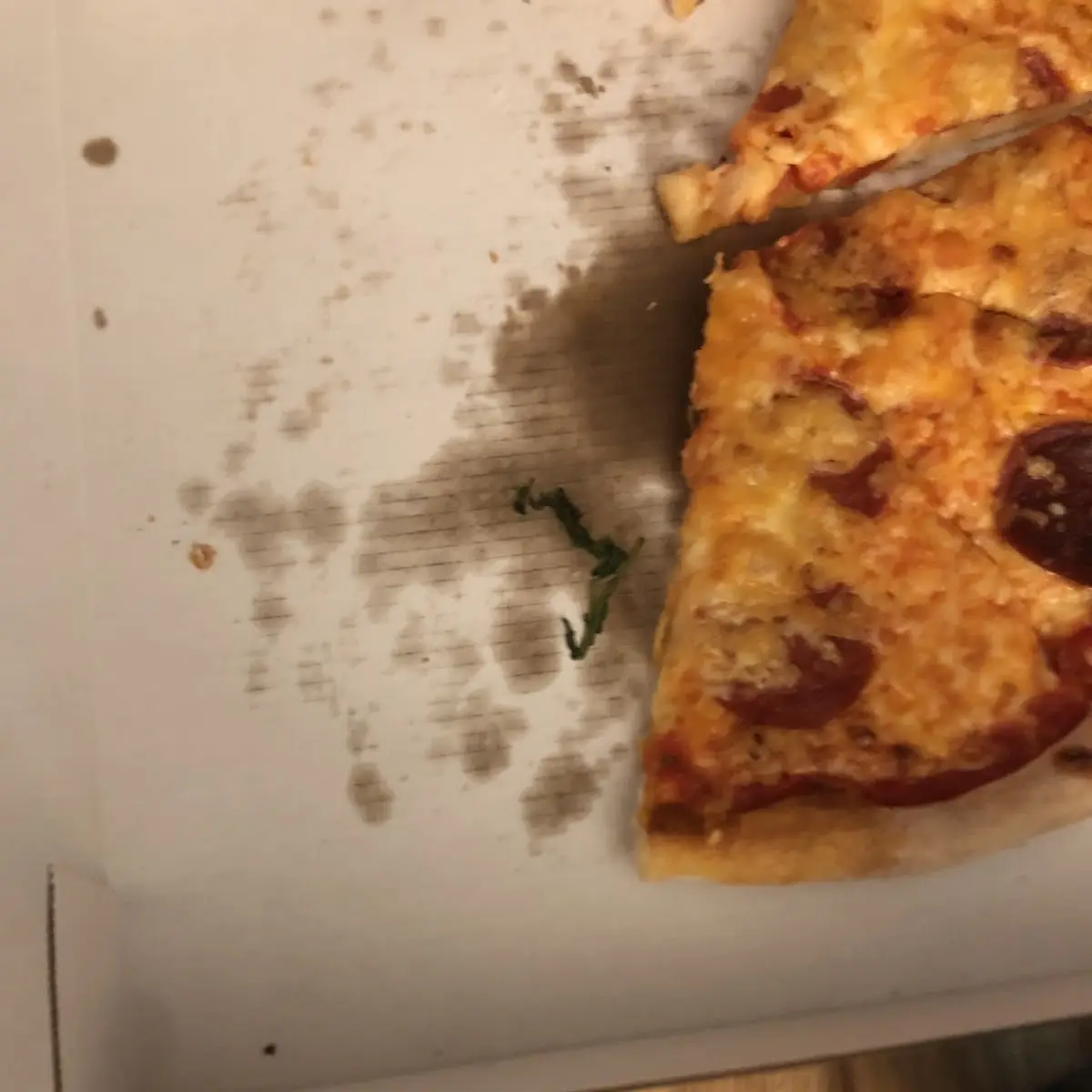 Highlights, Pizzeria Antico