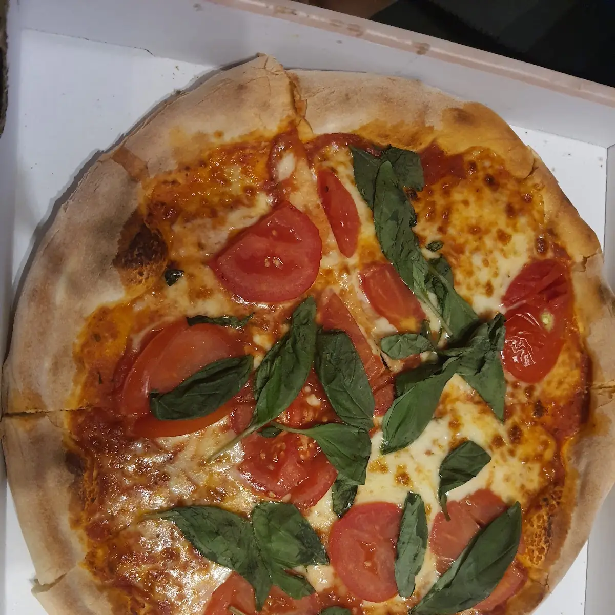 Highlights, Pizzeria Antico