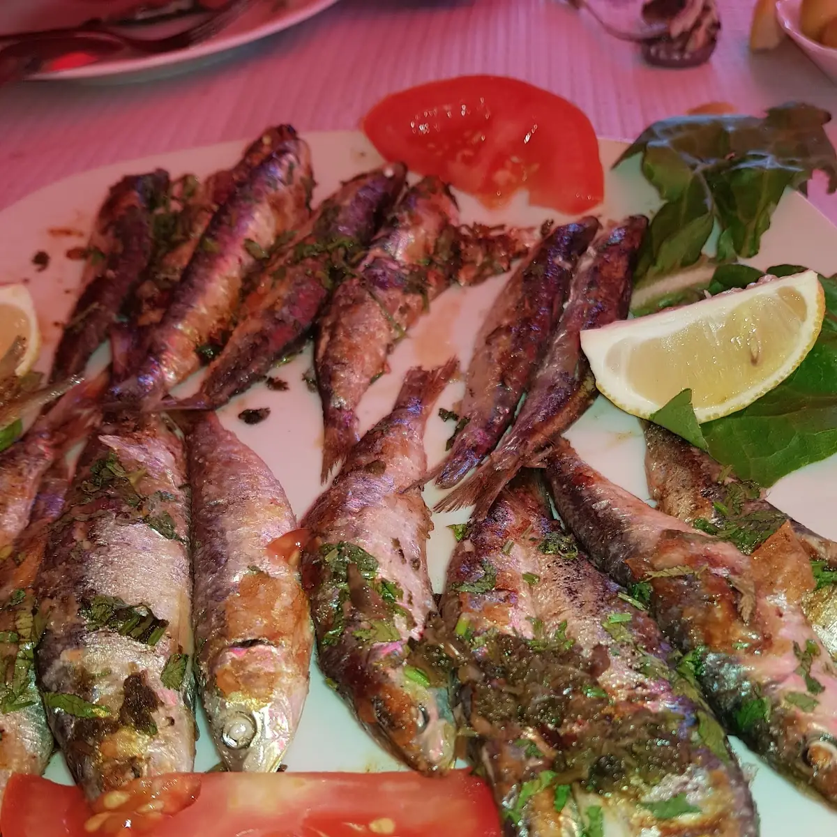 Highlights, Pizzeria Antico