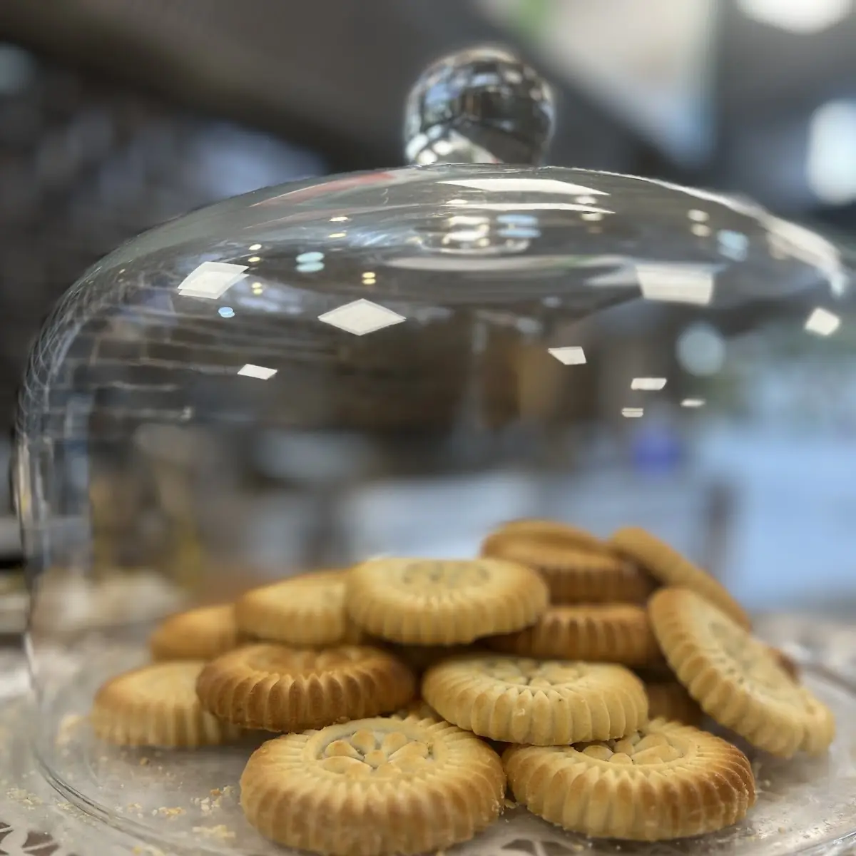Highlight 6