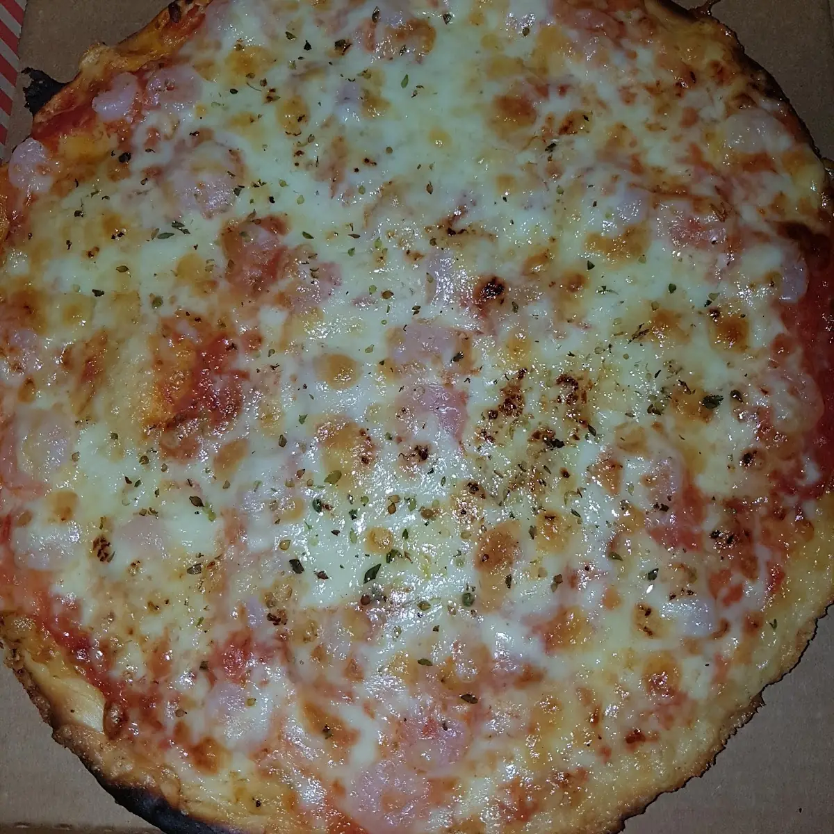 Scampi