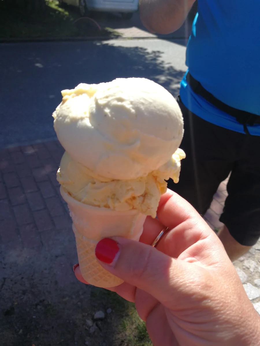 Sanddorn Eis