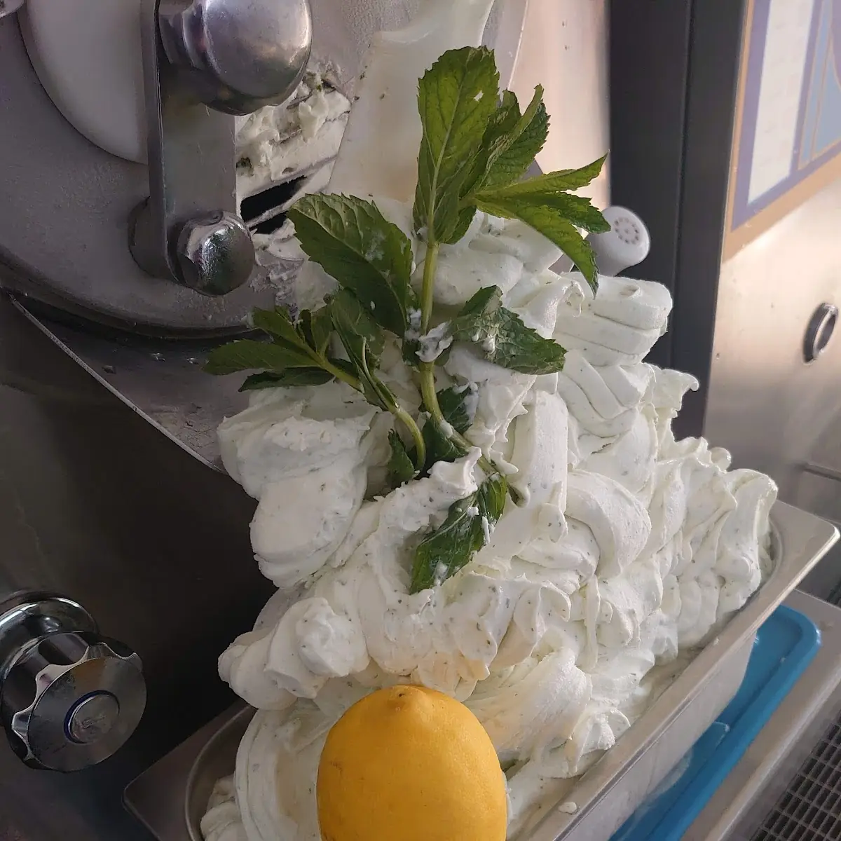 Mojitoeis