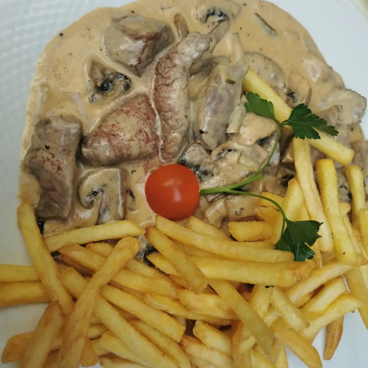 Stroganoff