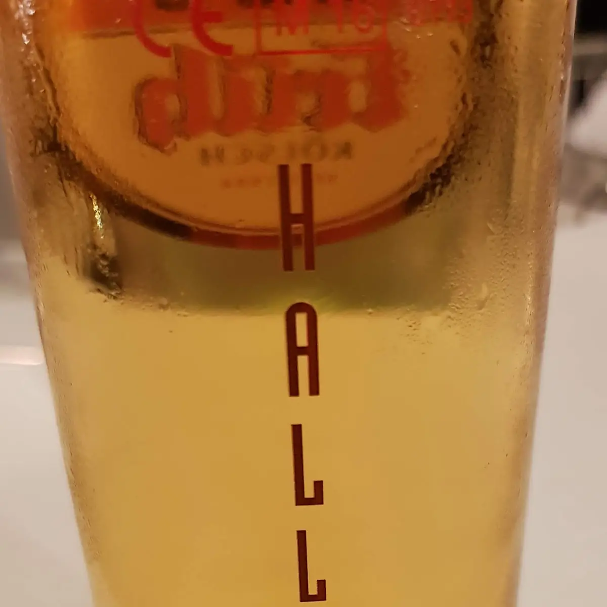 Bier