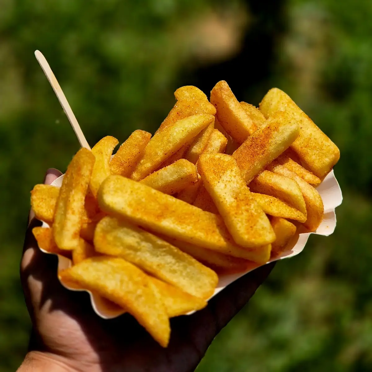 Pommes Frites
