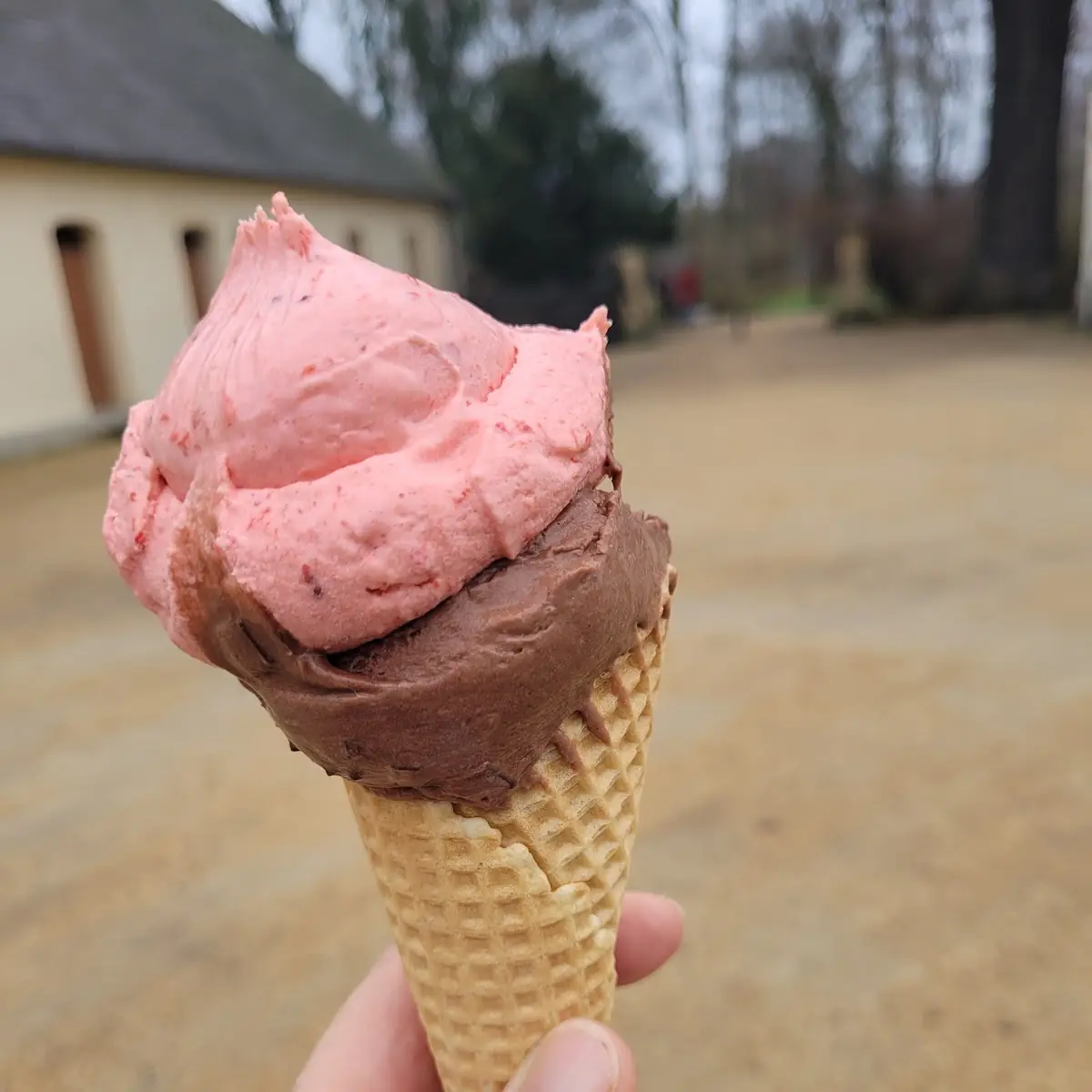 Eis