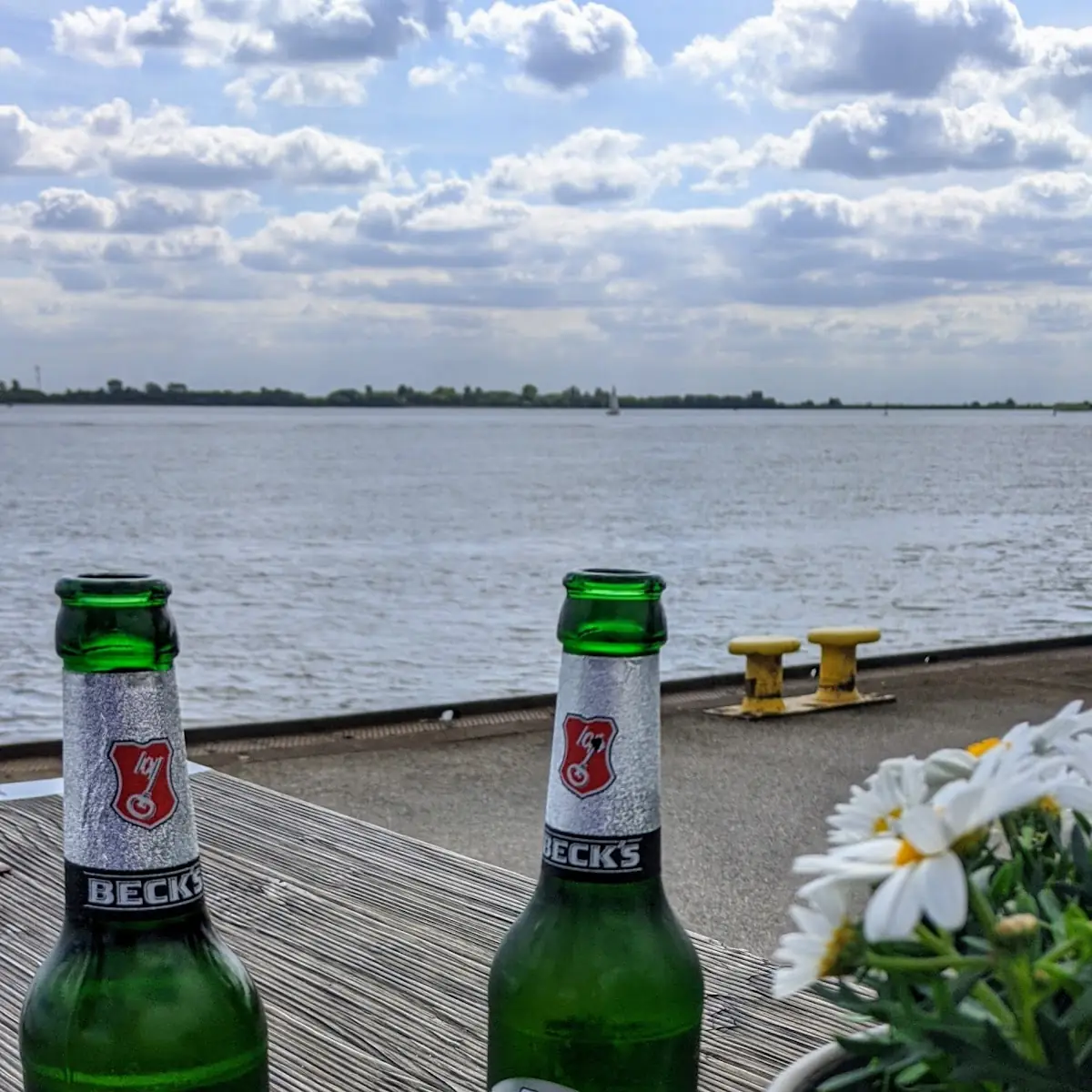 Pils
