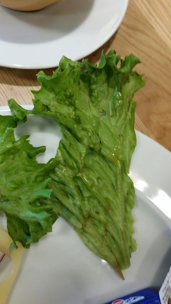 Lettuce, Bäckerei & Konditorei Hamma