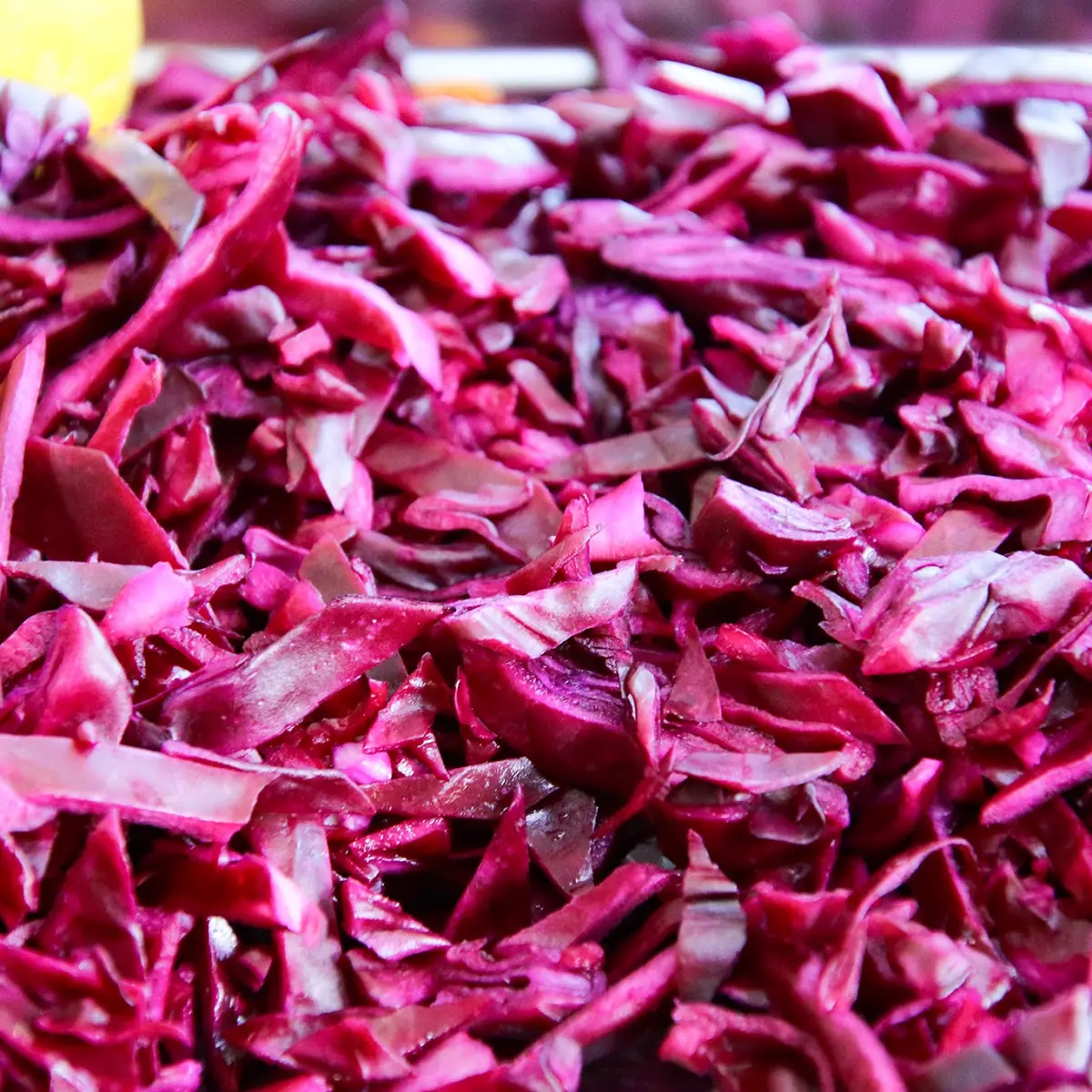 Red Cabbage
