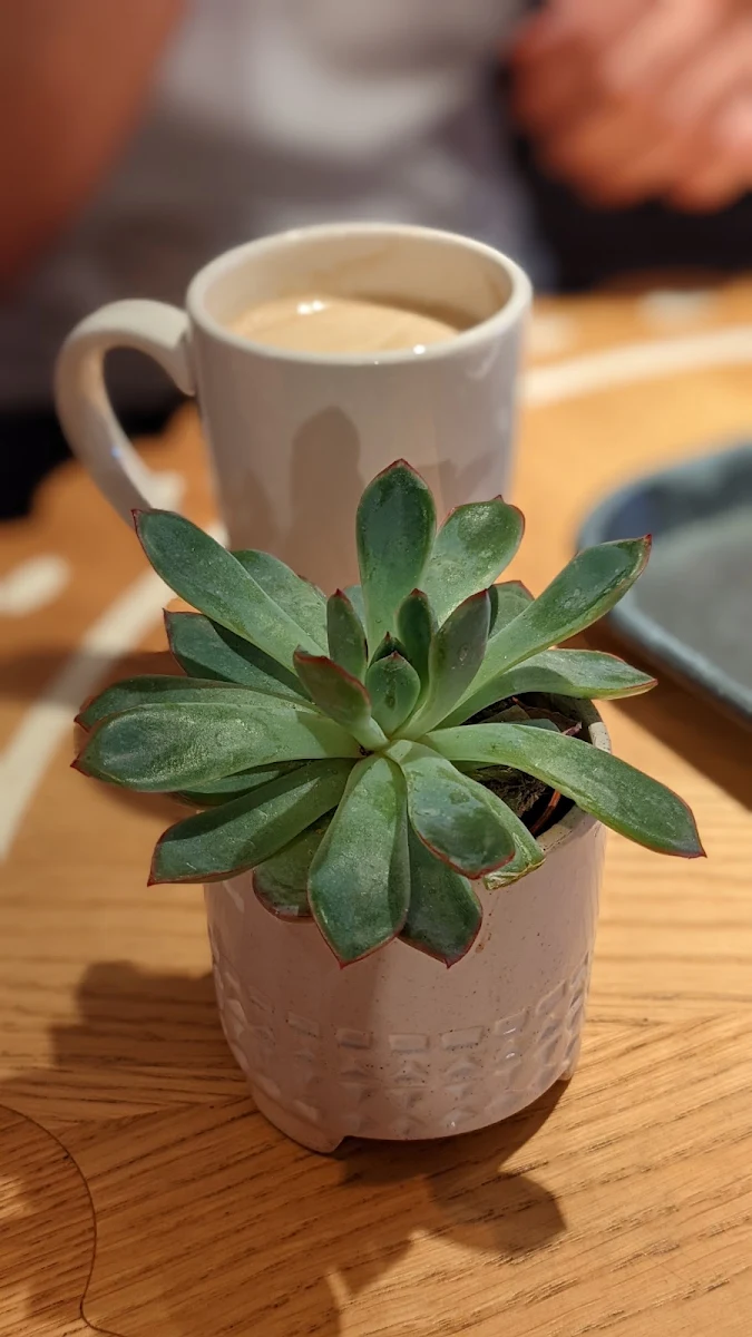 Coffee