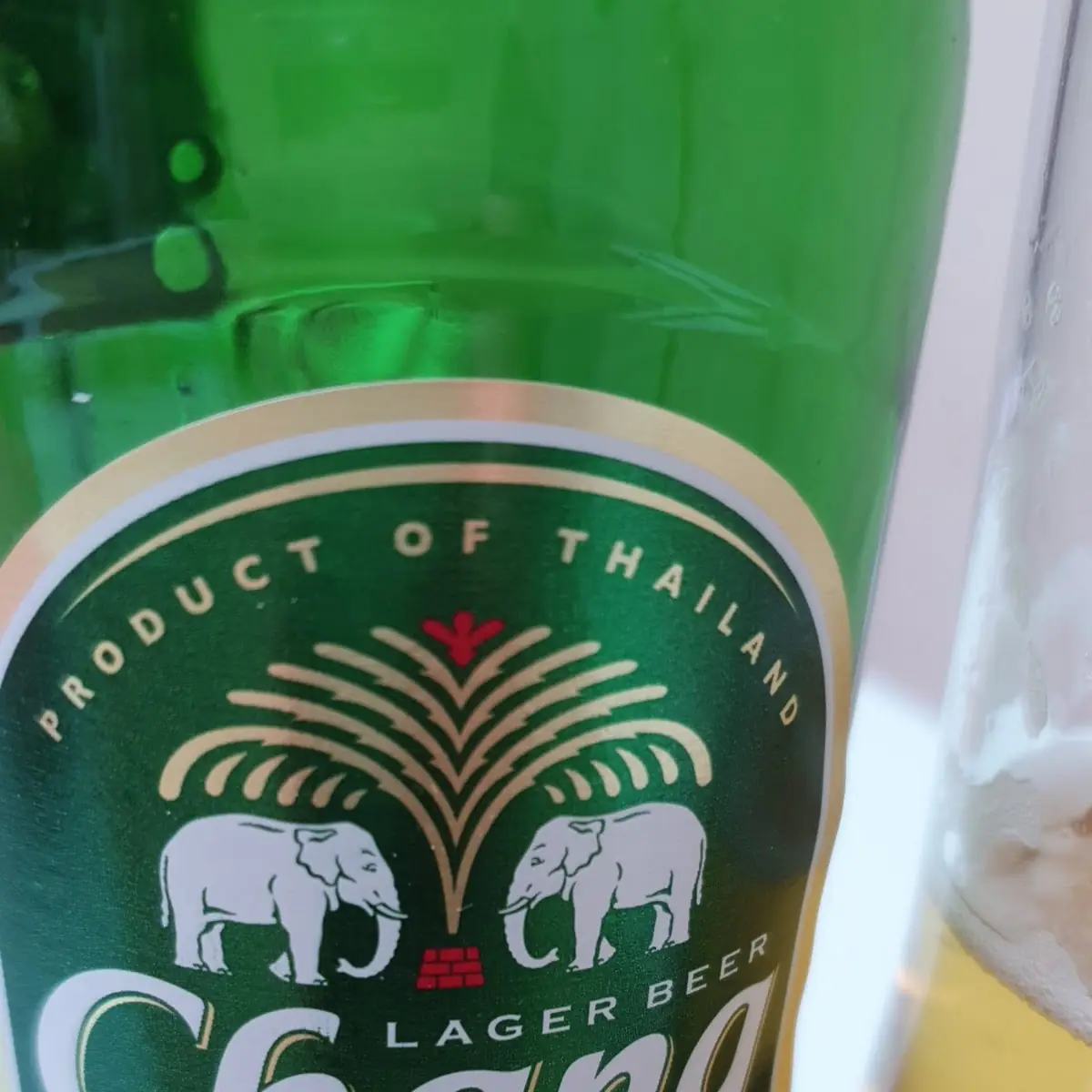 Bier