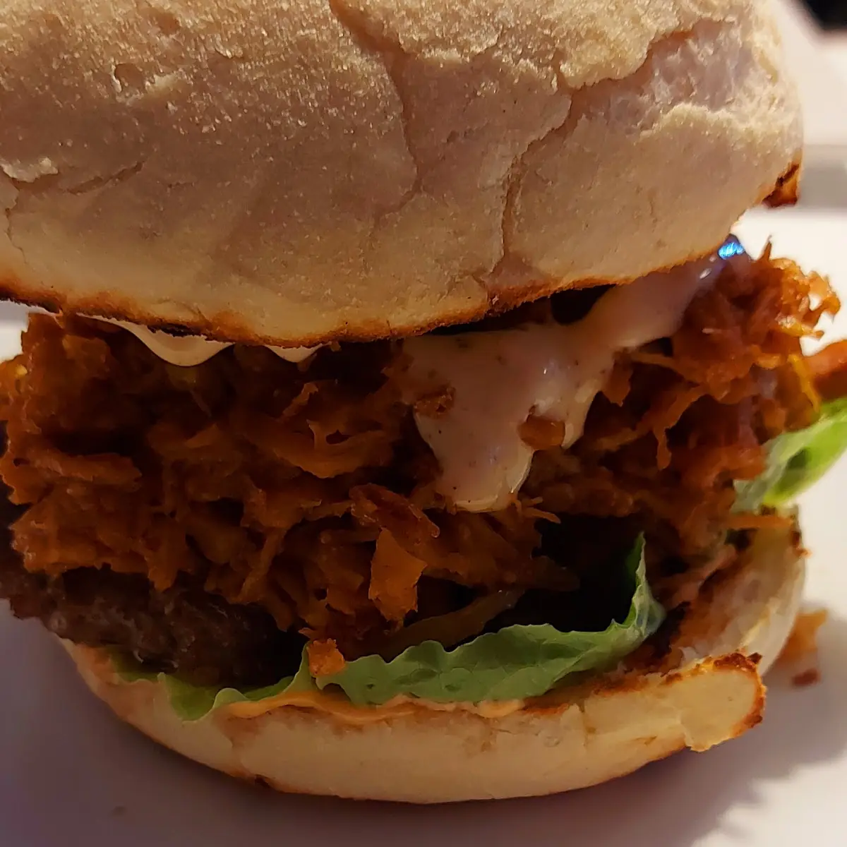 Pulled Pork Burger