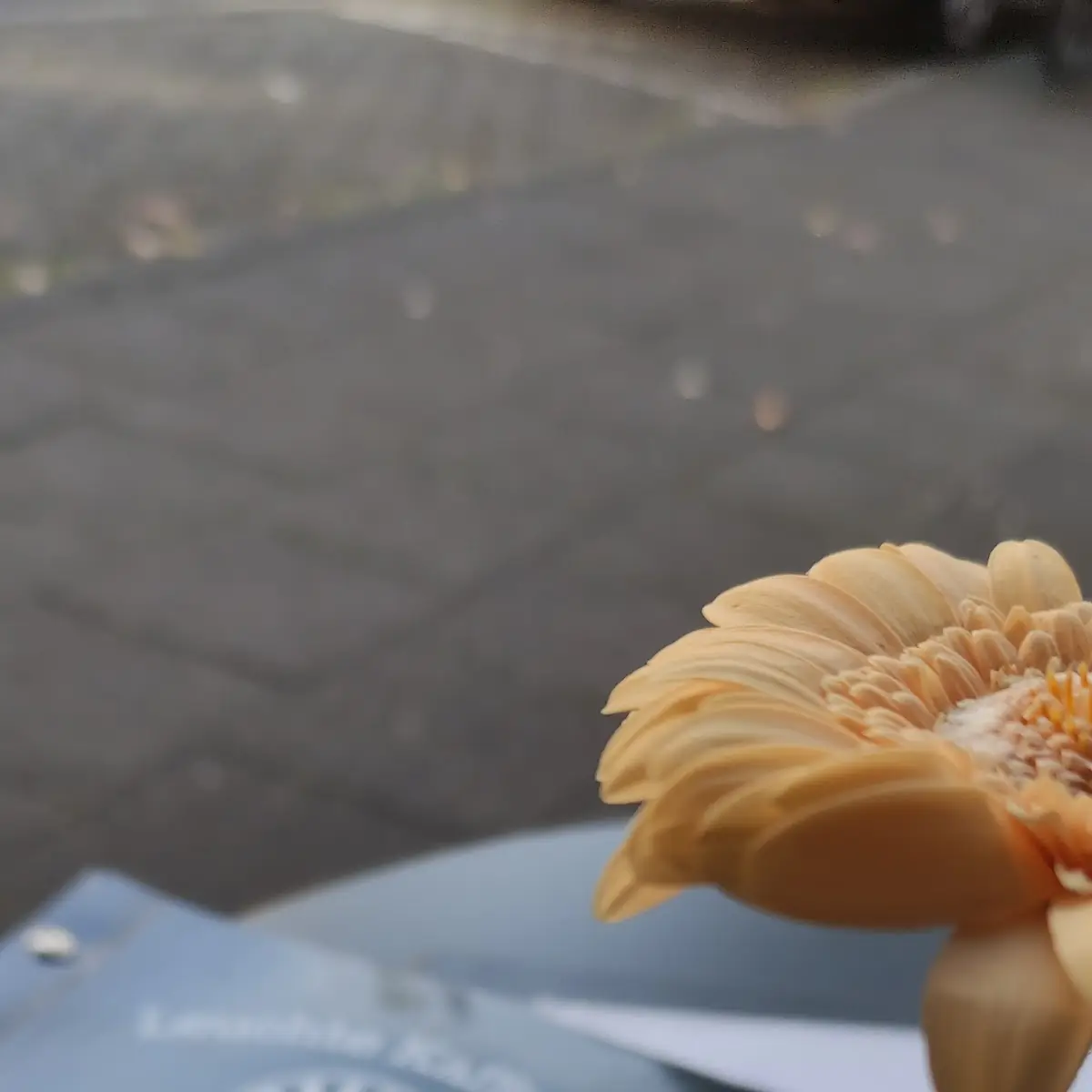 Highlights, Leuchte Kaffeebar