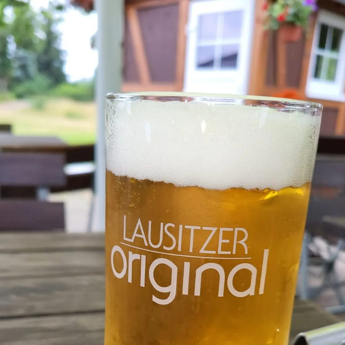 Bier