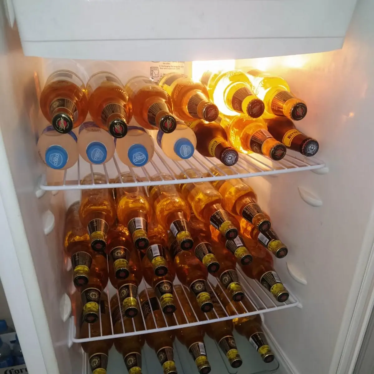 Bier