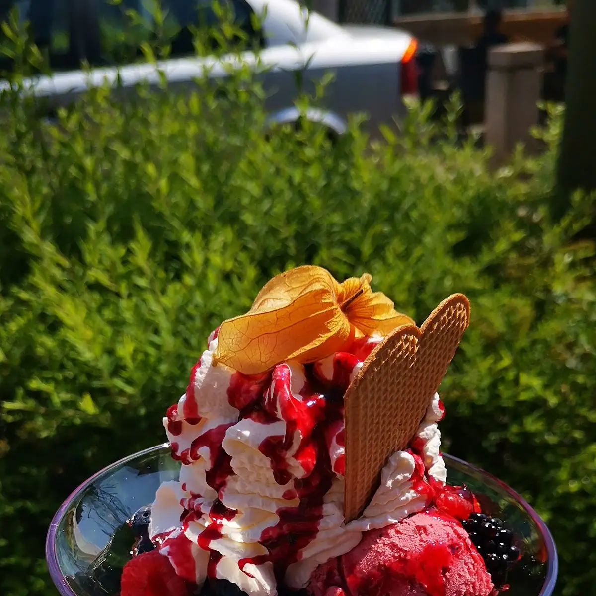 Waldbeerbecher