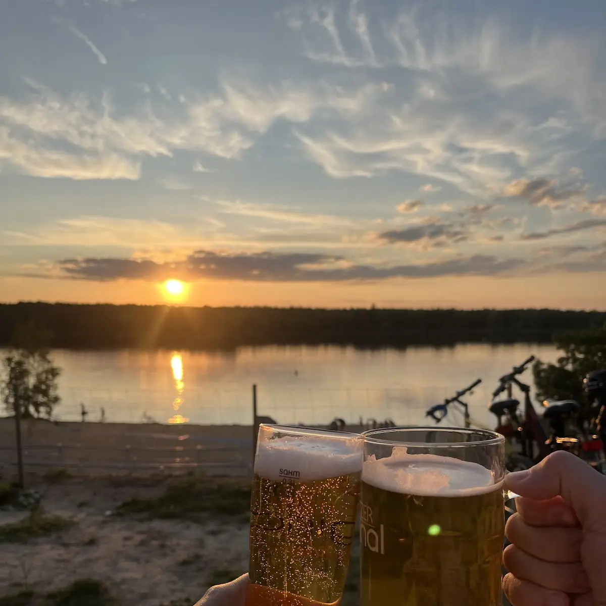 Bier