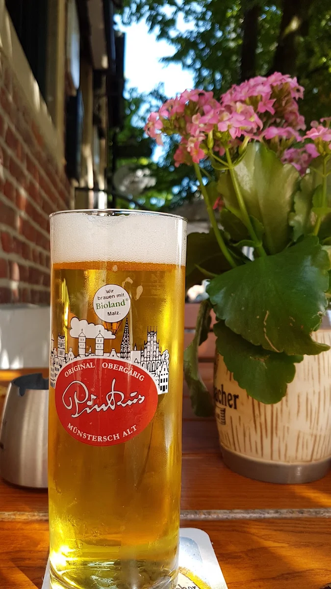 Bier