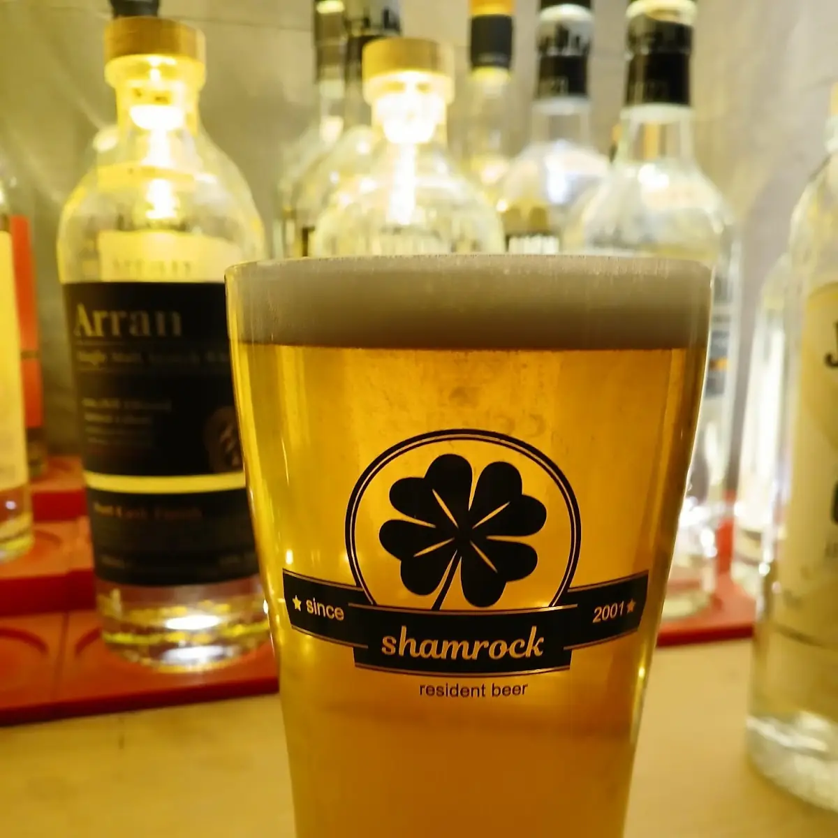 Highlights, Shamrock im Historischen Ratskeller zu Dessau