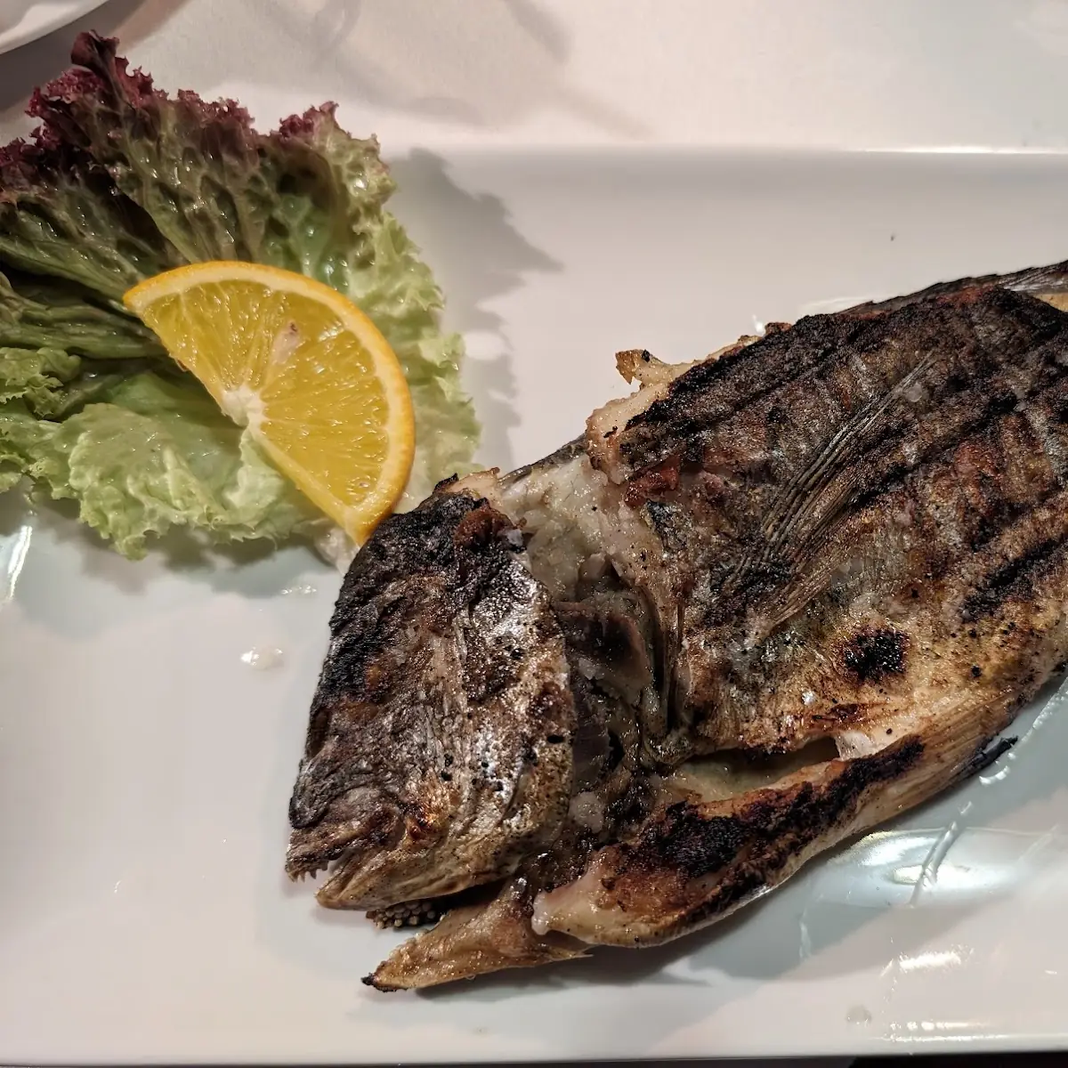 Gegrillte Dorade
